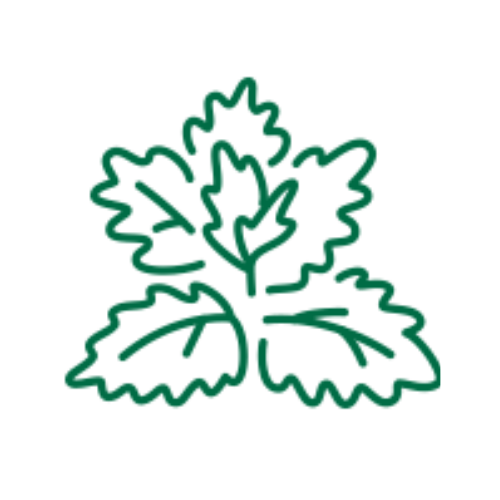 Alt image