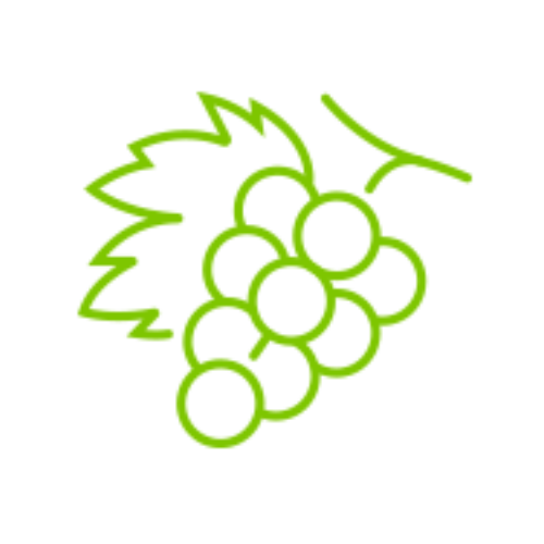 Alt image